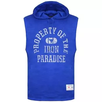 Мужская синяя толстовка Under Armour Project Rock Under Armour, синий
