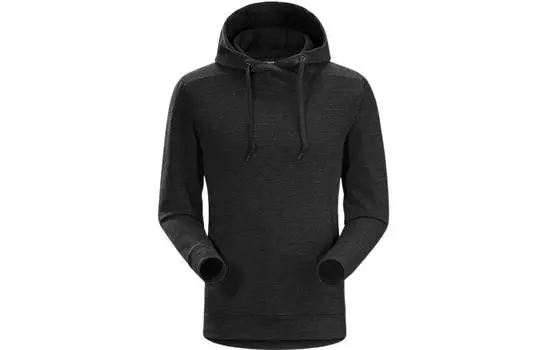 Мужская толстовка Arcteryx, цвет Black