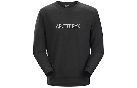 Мужская толстовка Arcteryx, цвет Brown