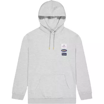 Мужская толстовка Dewato Picture, серый