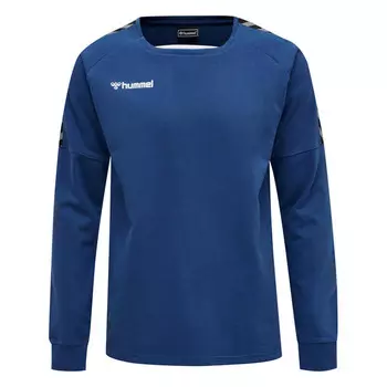 Мужская толстовка для мультиспорта Hmlauthentic Training Sweat HUMMEL, цвет blau