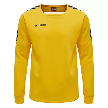 Мужская толстовка для мультиспорта Hmlauthentic Training Sweat HUMMEL, цвет gelb