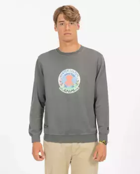 Мужская толстовка elPulpo, темно-серый