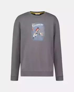 Мужская толстовка elPulpo, темно-серый