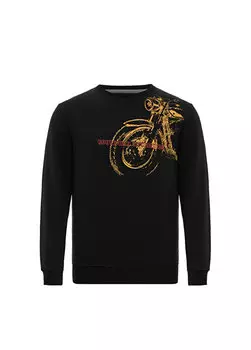 Мужская толстовка harv Routefield