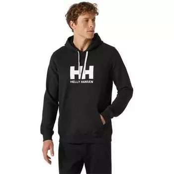 Мужская толстовка Helly Hansen, разноцветный