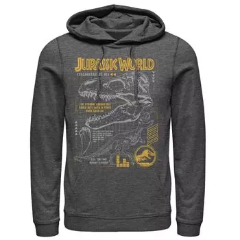 Мужская толстовка Jurassic World Two T-Rex оранжевого цвета с рисунком Licensed Character