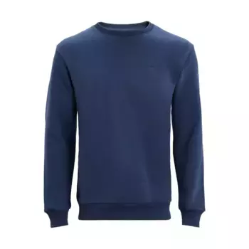 Мужская толстовка Luxor Altus, синий