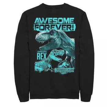 Мужская толстовка Мир Юрского периода Two T-Rex Awesome Forever Licensed Character, черный