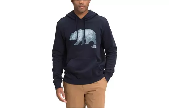 Мужская толстовка Polar Bear Series, темно-синяя The North Face, синий