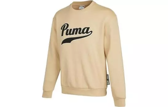 Мужская толстовка Puma, цвет Beige