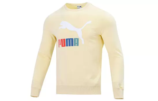 Мужская толстовка Puma, цвет Beige