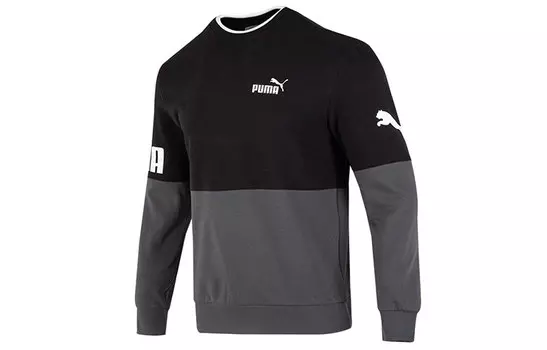 Мужская толстовка Puma, цвет Black