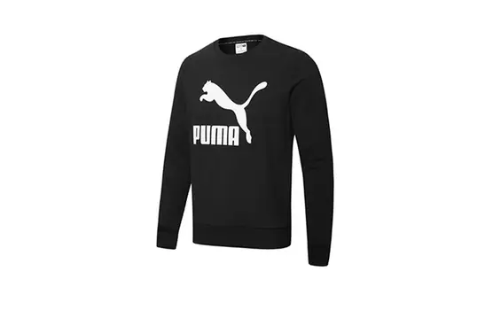 Мужская толстовка Puma, цвет Black