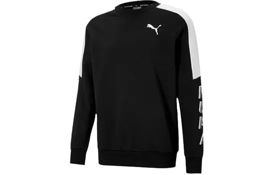 Мужская толстовка Puma, цвет Black