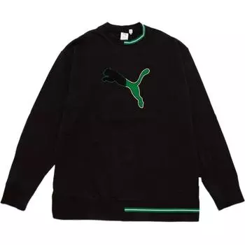 Мужская толстовка Puma, цвет Black