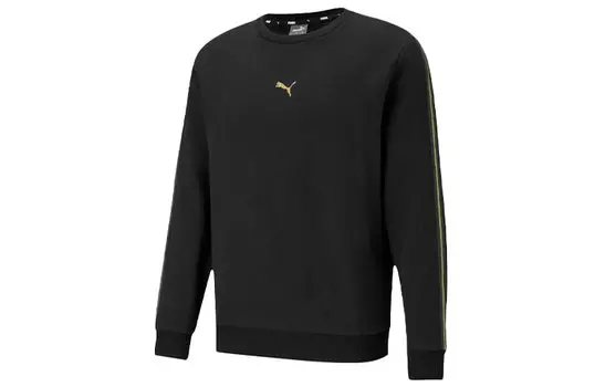 Мужская толстовка Puma, цвет Black
