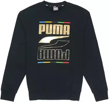 Мужская толстовка Puma, цвет Black