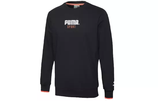 Мужская толстовка Puma, цвет Black