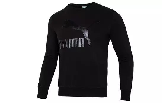 Мужская толстовка Puma, цвет Black