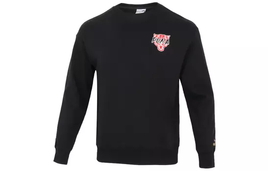 Мужская толстовка Puma, цвет Black