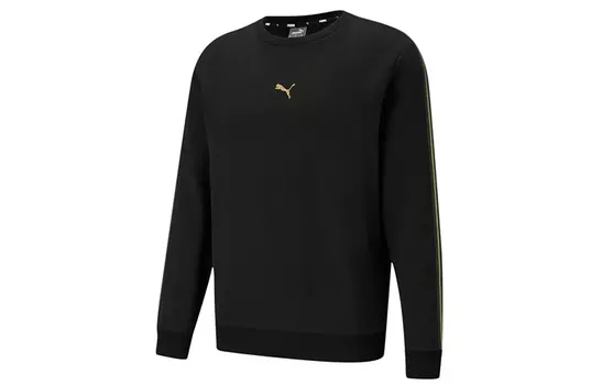 Мужская толстовка Puma, цвет Black