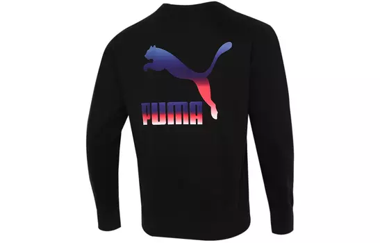 Мужская толстовка Puma, цвет Black