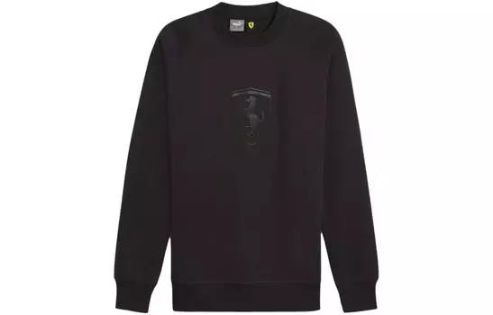 Мужская толстовка Puma, цвет Black