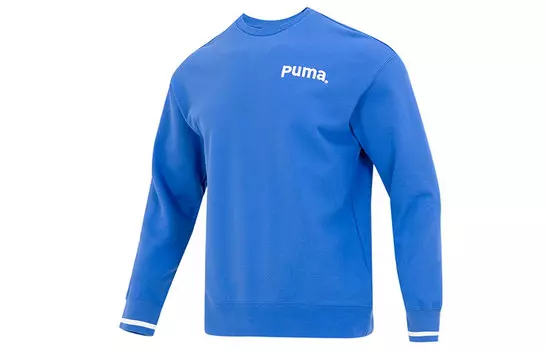 Мужская толстовка Puma, цвет Blue