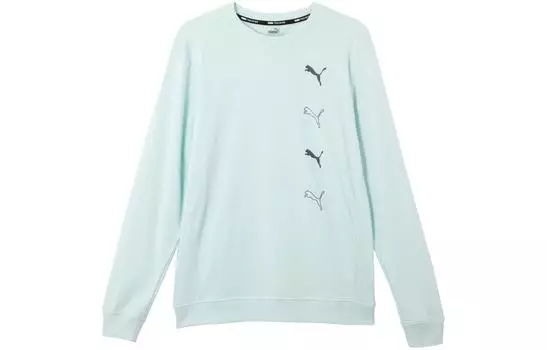 Мужская толстовка Puma, цвет Blue