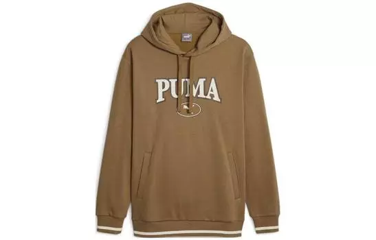Мужская толстовка Puma, цвет Brown