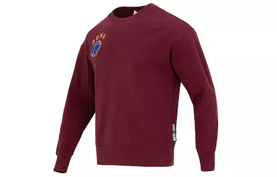 Мужская толстовка Puma, цвет Burgundy