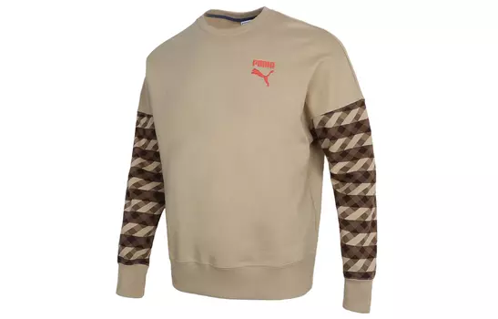 Мужская толстовка Puma, Коричневый