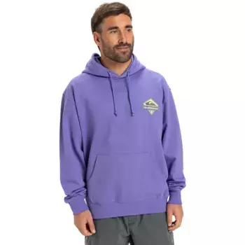 Мужская толстовка Quiksilver APOG Heritage, фиолетовый