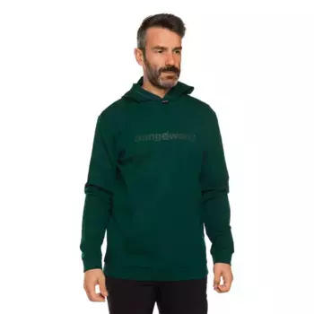Мужская толстовка Ragen Trangoworld, зеленый