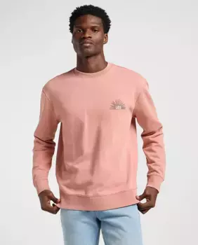 Мужская толстовка розового цвета с принтом на спине Lee, розовый