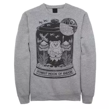 Мужская толстовка с эвоком-террариумом Star Wars