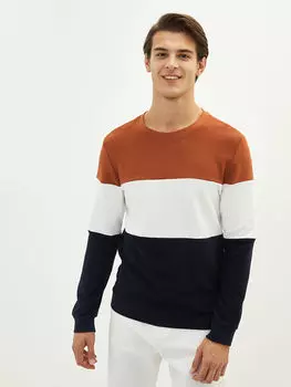 Мужская толстовка с цветными блоками и круглым вырезом с длинным рукавом LCW Vision