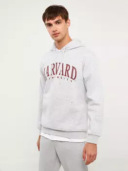 Мужская толстовка с длинным рукавом и принтом LCW Casual, серый меланж