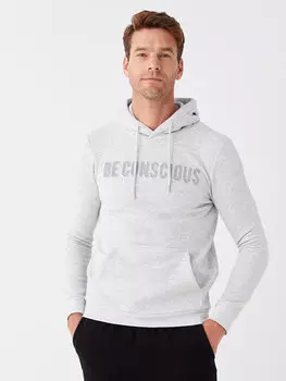 Мужская толстовка с длинным рукавом и принтом LCWAIKIKI Classic, цвет камня меланж