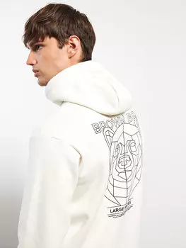Мужская толстовка с длинным рукавом и принтом LCW Casual, светло-серый