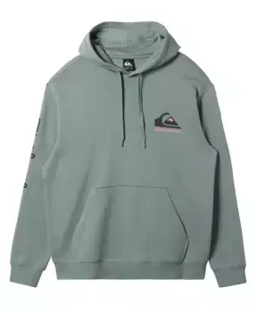 Мужская толстовка с длинным рукавом Omni Logo Quiksilver, зеленый