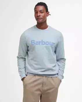 Мужская толстовка с длинными рукавами и круглым вырезом Barbour, бежевый