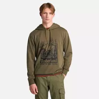 Мужская толстовка с графическим принтом и петлевой спиной Timberland, цвет leaf green