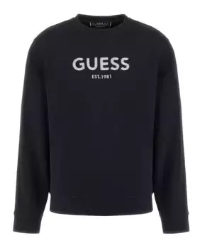 Мужская толстовка с капюшоном Guess, черный