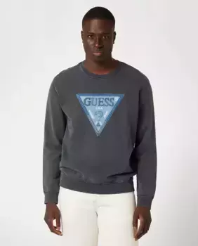 Мужская толстовка с капюшоном Guess, темно-серый