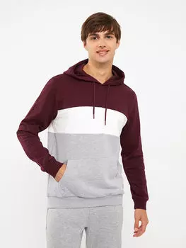 Мужская толстовка с капюшоном и цветными блоками с длинным рукавом LCW Casual