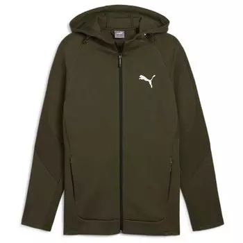 Мужская толстовка с капюшоном на молнии evostripe dk Puma, зеленый