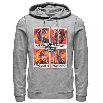 Мужская толстовка с капюшоном Polaroids Jurassic World Two Dino Vacation Licensed Character