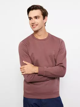 Мужская толстовка с круглым вырезом и длинным рукавом с принтом LCW Casual